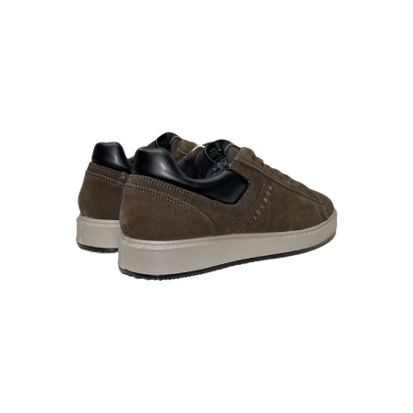 Igi&Co 6645533 sneakers uomo in camoscio marrone