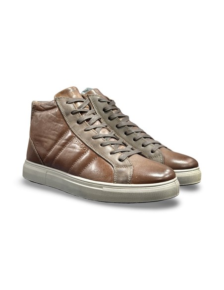 Igi&Co 8635533 sneakers uomo in pelle color cuoio