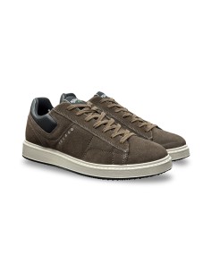 Igi&Co 6645533 sneakers uomo in camoscio marrone