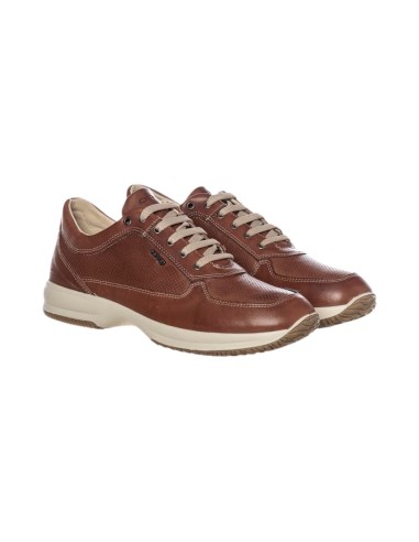 Igi&Co 5626711 sneaker uomo in pelle color cognac